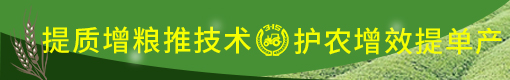 農(nóng)機(jī)3·15—提質(zhì)增糧推技術(shù)，護(hù)農(nóng)增效提單產(chǎn)